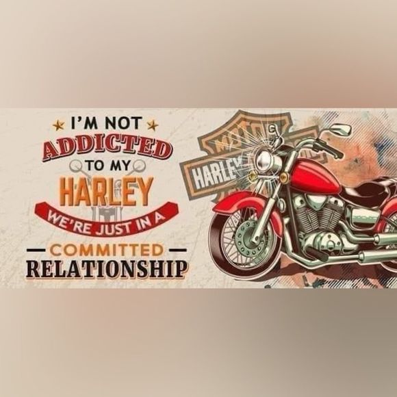 Examples of Harley magnets - Picture 14 of 16
